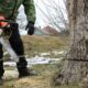 Tree Removal Techniques