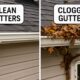 Gutter Cleaning